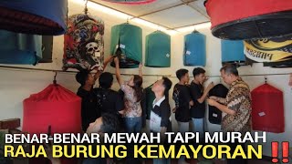 PANTAS RAMAI ! TOKO MURAI BATU GACOR BERGARANSI 1 MINGGU DI KEMAYORAN JAKARTA PUSAT 