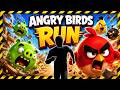 4K Immersive Interactive Warm Up | ANGRY BIRDS RUN | Full Body #12
