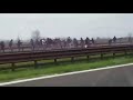Fight between Fiorentina and Ternana ultras 18.02.2018