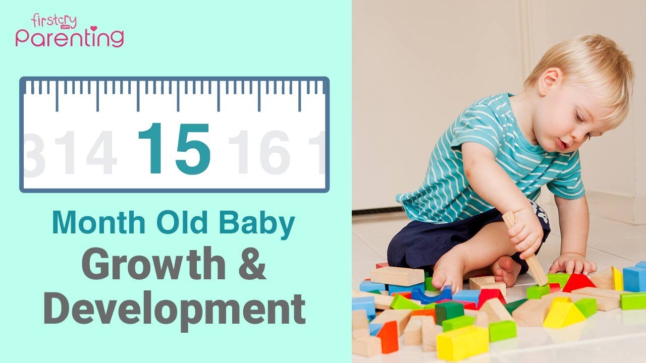 Your 15 Month Old Baby'S Growth And Development (Also Know The Activities \U0026 Care Tips)