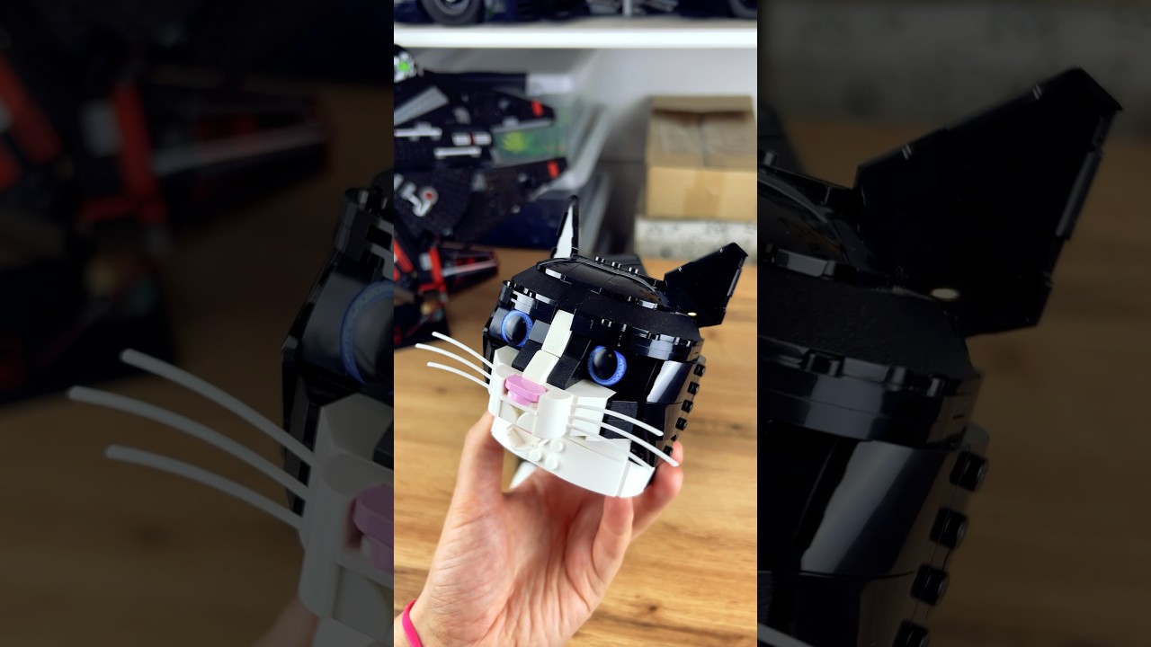 Lego Cat upgrade kit! #lego #cat #toys #shorts - YouTube