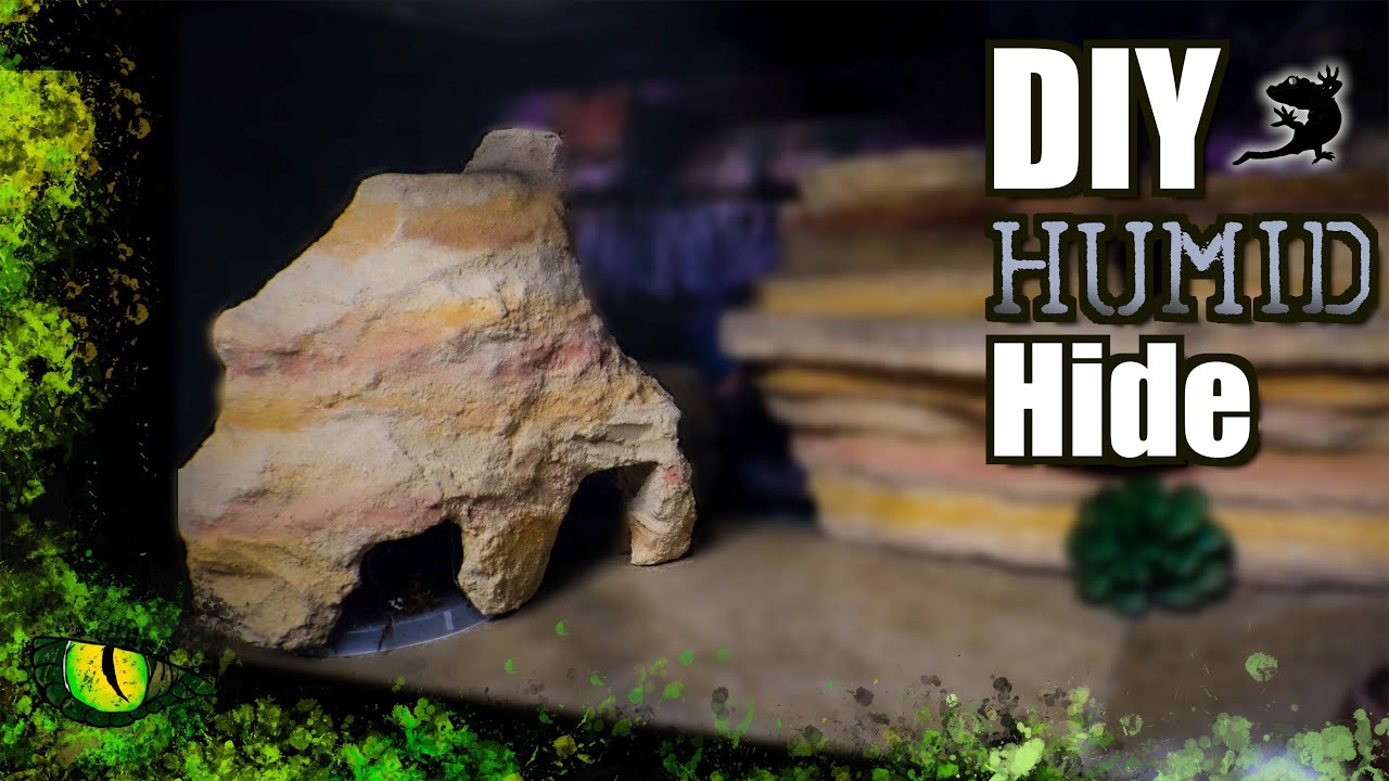 DIY Humid Hide! Reptilian Den YouTube