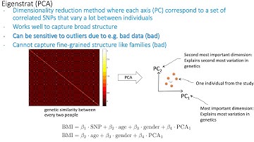 MCB 182 Lecture 12.8 - PCA for analysis of population structure in GWAS, multiple hypothesis testing