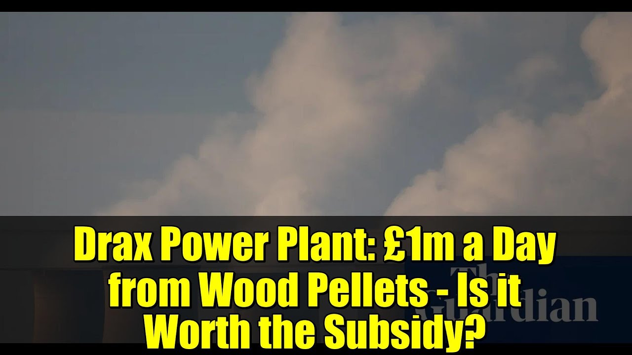 Drax Power Plant: £1m a Day from Wood Pellets - Is it Worth the Subsidy?