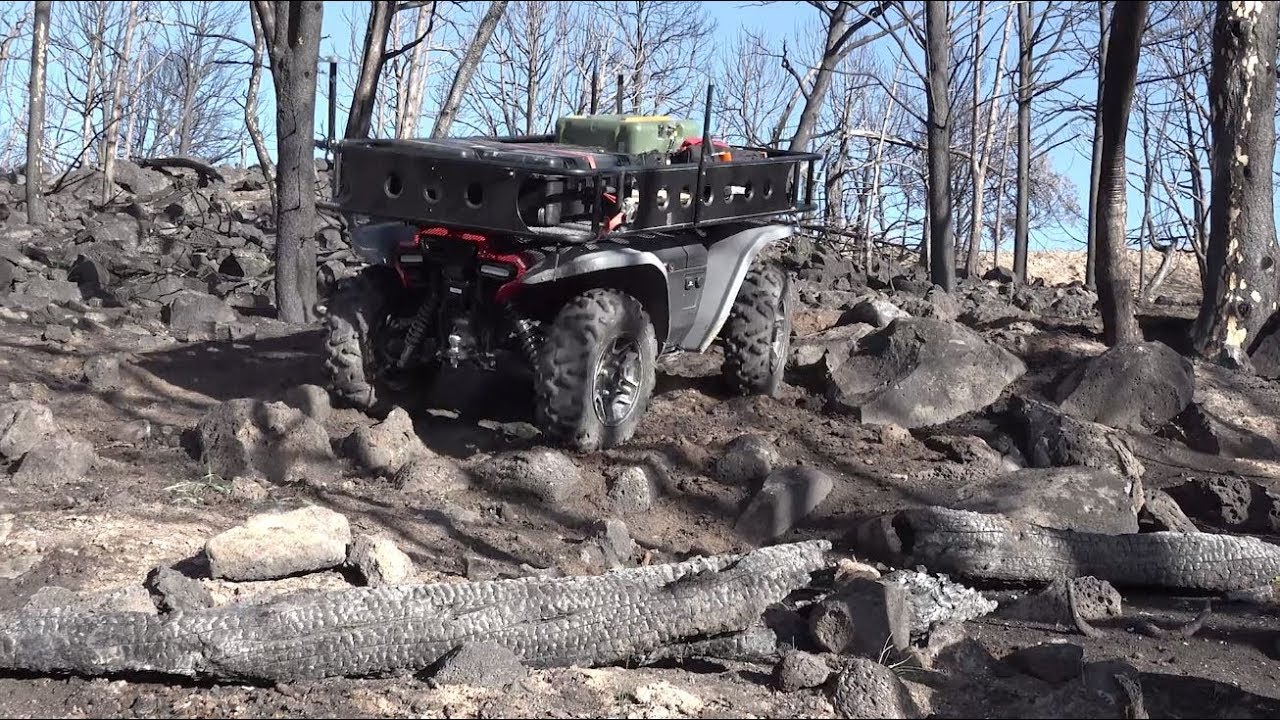 Видео | Honda тестирует помощника для фермеров и пожарных. Фото.