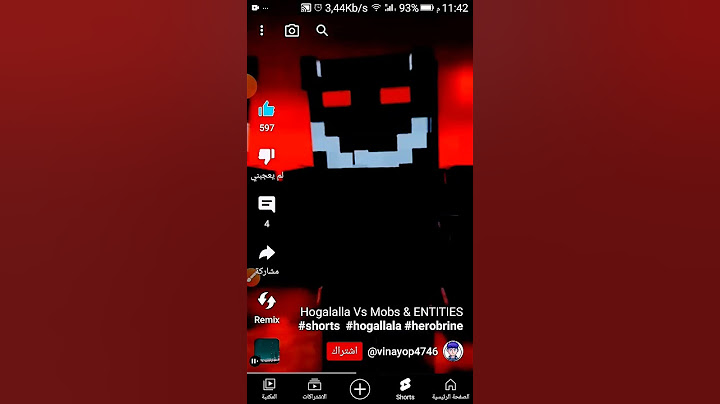 مستر تورتش ضد كائنات ماين كرافت