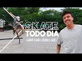 Luan dudu e abe  game  skate todo dia