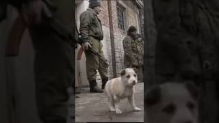 Captured Russian VDV soldiers await their fate (First Chechen War, 1995 AP Archives)