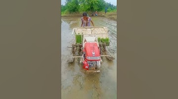 mahindra rice transplanter #mahindra