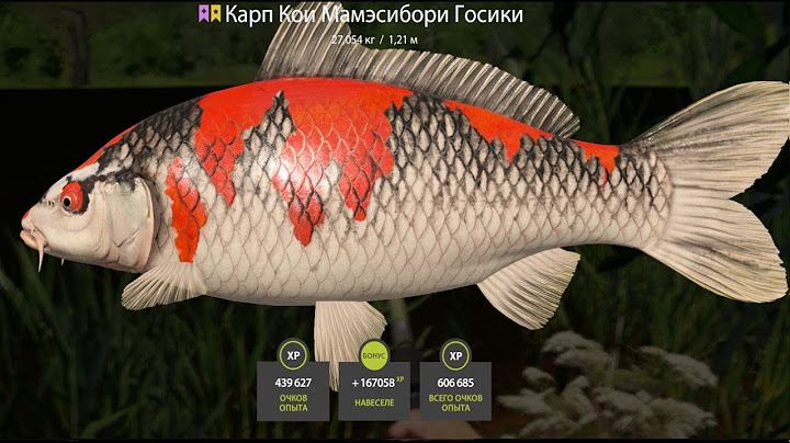 ПРОВЕРЯЕМ ЛУЧШИЙ ФАРМ СЕРЕБРА и КОИ на МЕДНОМ и ЗА ТРОФЕЙНОЙ ВОСТОЧКОЙ наТУНГУ РУССКАЯ РЫБАЛКА 4 РР4