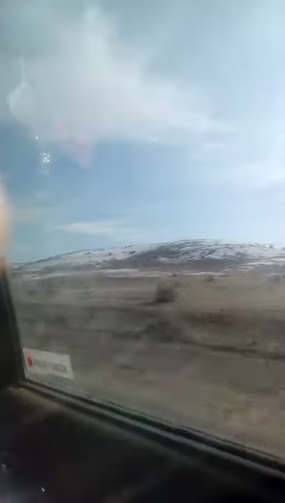 Погода в ТАЙГЕ. - YouTube