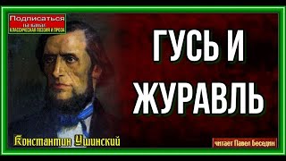 Гусь и Журавль  Константин Ушинский  читает Павел Беседин