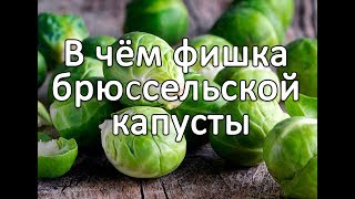 В чём фишка брюссельской капусты