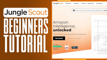 How To Use Jungle Scout Extension (2025) Full Guide