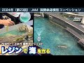 【Nゲージ/レジン解説付】4.1kgのレジンを流して海を作ります！[1/150scale鉄道模型]〜Diorama of Railway along the coast [N scale]