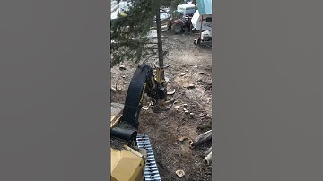 Precision tree falling near a home! #work #heavyequipment #machinery #tigercat #logging