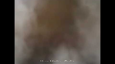 Aini smule kun ma