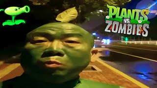 Top 5 Plants Vs Zombies