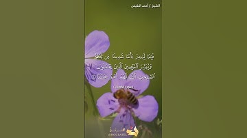 #قران_كريم #سوره الكهف بصوت القارئ احمد النفيس #اذكار #اكسبلور #دويتو #قرآن #لايك #تيك_توك #ترند