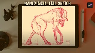 Sketching a Maned Wolf in Procreate #Summerschool screenshot 2