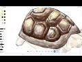 galaxy tab s6 lite로 거북이 그리기_drawing turtle with PENUP