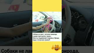 #бабки #смех #анекдот #доктор #мужжена #funny #fun #memes #funnyvideo #funnyshorts #lustigesvideо