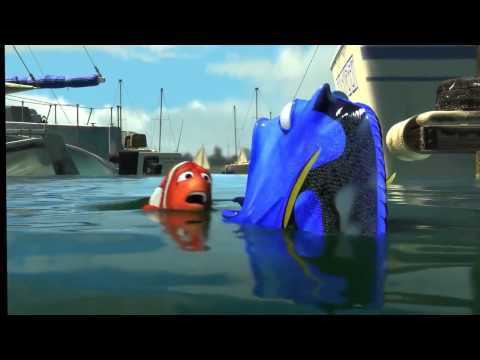 Finding Nemo - DUCK!!!