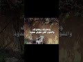 وغلاوتك وحلاوتك بدون موسيقى