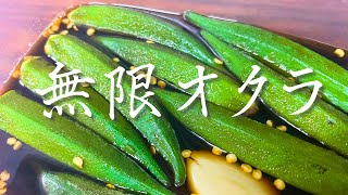 【超簡単】板前が教える無限オクラ【常備菜】