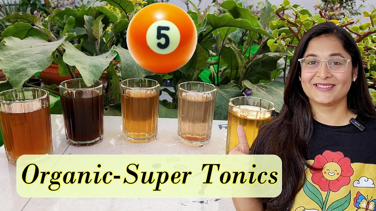 🔴TOP 5 ORGANIC LIQUID FERTILIZERS FOR PLANT GROWTH सबसे अच्छी खाद पौधों के लिए #fertilizer #plants