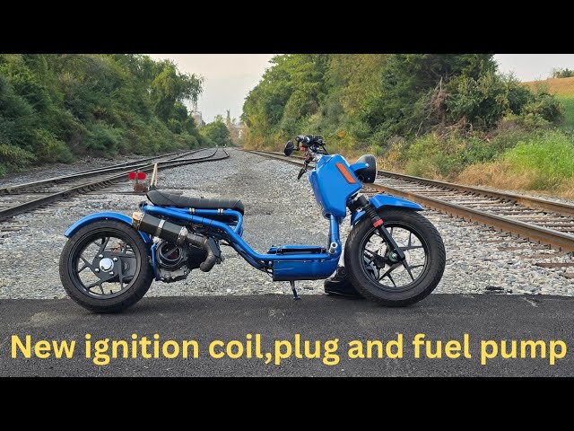 Gen 5 maddog 150 gets NCY ignition coil, Mikuni DF44 fuel pump