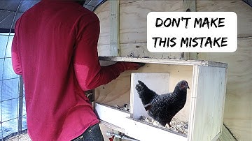 Nesting Box Problems... Don