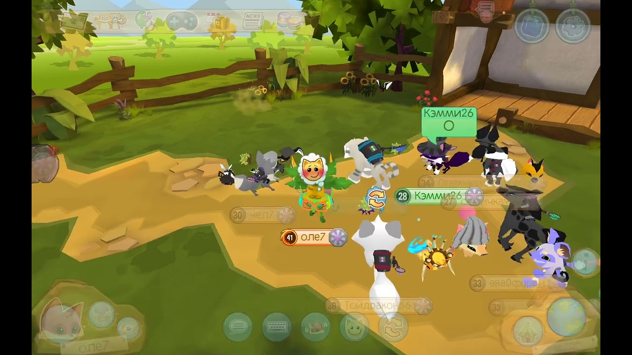 #AnimalJam