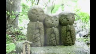 終究和你無緣 演唱：阿斌斌（傷感情歌）