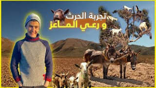 تجربة جديدة في المغرب المنسي🇲🇦 السعادة موجودة بين الجبال ❤️ Bedouin life