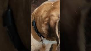 Spring Amidst The Mountainous Canadian Landscape