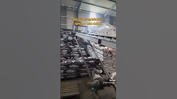 Đội em chuyên nhận bốc xếp hàng hóa. TPHCM + bình dương. #shrots #thinhhanh #vairal #xuhuongyoutube