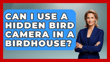 Can I Use A Hidden Bird Camera In A Birdhouse? - Bird Watching Diaries