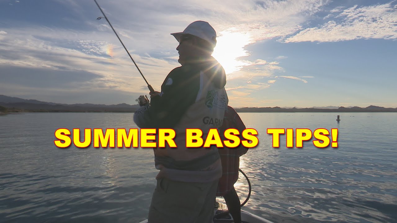 Best Summer Dropshot Tips for Bass Fishing | Bass Fishing - YouTube