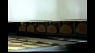 Bread Slicer And Aligning Machine