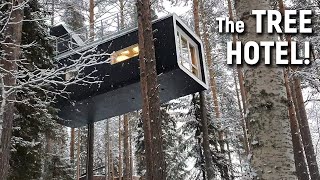 Treehotel - Amazing Hotel In The Arctic Lapland Road Trip