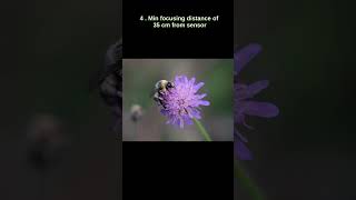 8 Reasons To Get Fuji Xf 16-80Mm Lens