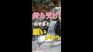 見るだけで願いがかなう♪かなえの滝　椿大神社 #shorts