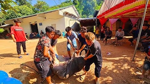 Lần đầu dự Đám cưới to nhất Lũng Cáng 3 lợn 120kg Cỗ dựng rạp. Nguyễn Tất Thắng