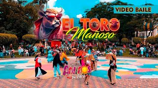 El Toro Mañoso - Andinos del Perú Video Coreografía 2024