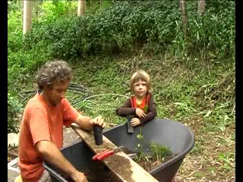 Permaculture Community Crystal Waters, Australia