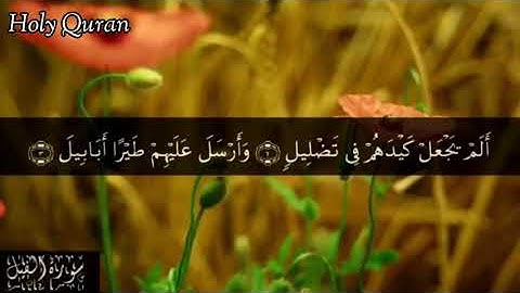 105 سورة الفيل بصوت الشيخ | سعد الغامدي