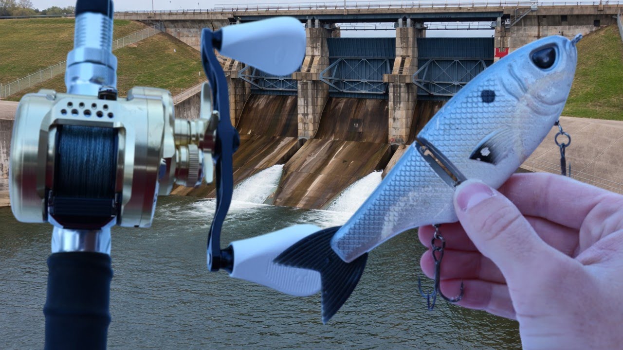 Fishing Swimbaits for Winter River Giants!