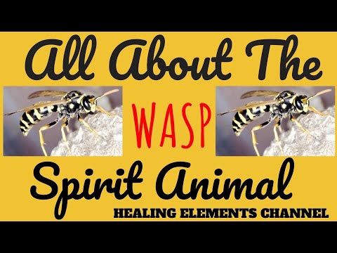 🐝 THE WASP 🐝 SPIRIT ANIMAL 🐝 Symbolism Of The Wasp Spirit (made with  Spreaker) - YouTube