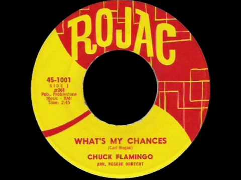 Chuck Flamingo - What's My Chances